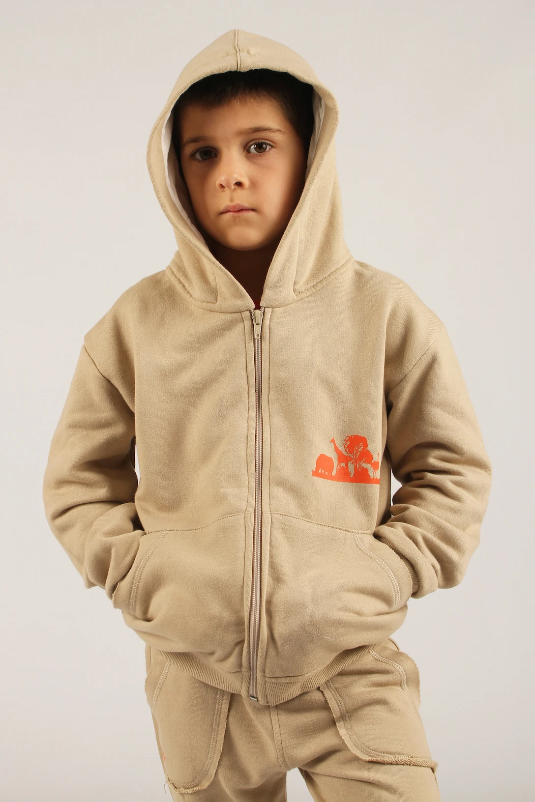 CAMPERA JACINTO ARENA - Imagen 3