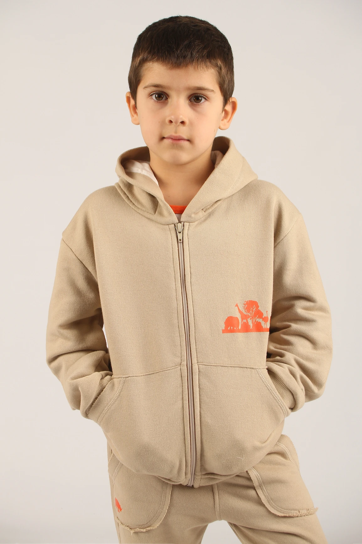 CAMPERA JACINTO ARENA