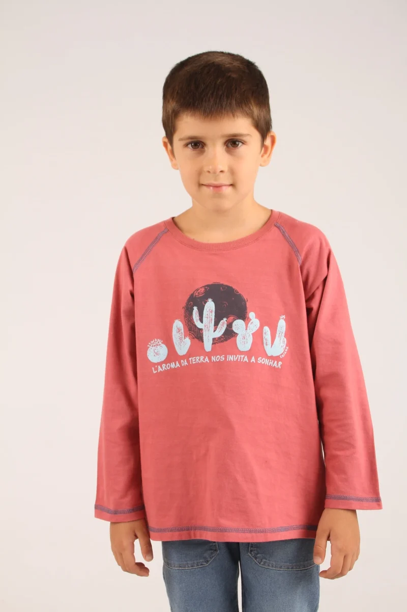 REMERA NICOLAS LADRILLO