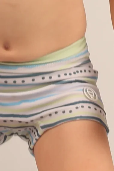 Alternative view of BOXER NICOLAS VERDE